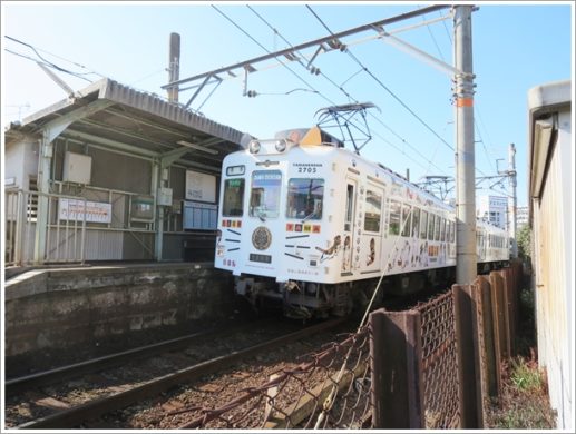 田中口駅とたま電